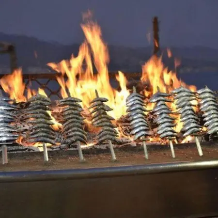 Apartment En Primera Linea/beachfront